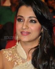 Beautiful Trisha Saree Photos