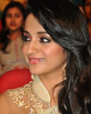 Beautiful Trisha Saree Photos