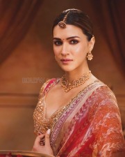 Captivating Kriti Sanon in a Pink Anarkali with Golden Tissue Dupatta Photoshoot Pictures 04