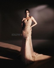 Charming Janhvi Kapoor in a Gorgeous Tulle Gown Photos 04