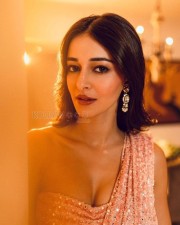 Dazzling Ananya Panday in a Shimmery Saree with Deep Neck Blouse Photos 02
