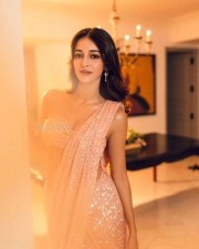 Dazzling Ananya Panday in a Shimmery Saree with Deep Neck Blouse Photos 04
