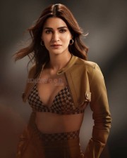 Desirable Kriti Sanon in a Brown and Black Checkered Bralette with Brown Bottoms Pictures 02