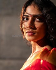 Dusky Sexy Beauty Malavika Mohanan in a Red Silk Saree Pictures 05
