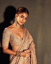 Ethereal Pooja Hegde in a Multi Coloured Saree with an Embroidered Blouse Photos 06