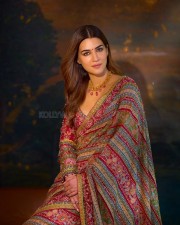 Ethnic Fashion Beauty Kriti Sanon in a Pink Embellished Saree Pictures 04