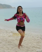 Exclusive Trisha Sexy Stills