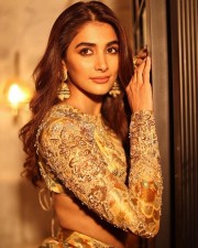 Golden Beauty Pooja Hegde Pictures 01