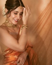 Gorgeous Raashi Khanna in a Golden Silk Orange Saree Photos 03