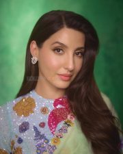 Graceful Nora Fatehi in a Floral Saree Pictures 06