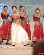 Hot Amala Paul Pictures In Vetta Movie