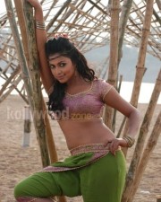 Hot Amala Paul Pictures In Vetta Movie