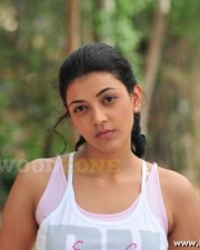 Hot And Sexy Kajal Agarwal Pics