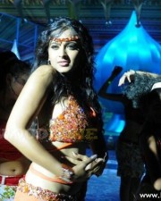 Hot Anushka Shetty Latest Stills