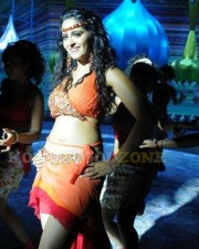 Hot Anushka Shetty Latest Stills