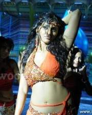 Hot Anushka Shetty Latest Stills