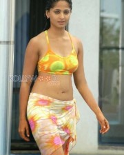 Hot Anushka Swimsuit Pictures