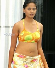 Hot Anushka Swimsuit Pictures