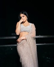 Hot Malavika Mohanan in a Transparent Embroidered Sequence Saree Photos 03