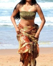 Hot Stills Of Priyamani