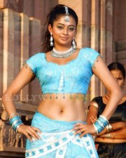 Hot Stills Of Priyamani