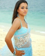 Hot Trisha Saree Cleavage Pictures