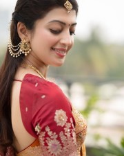 Kannada Actress Pranitha Subhash in a Beautiful Silk Saree Photos 02