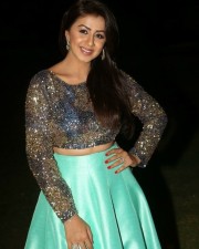 Kannada Beauty Nikki Galrani New Pictures