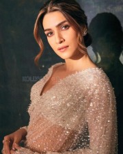 Kriti Sanon in a Transparent Glittering Saree Photos 02