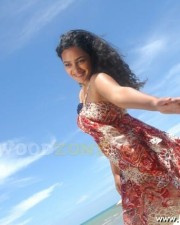 Malayalam Actress Nithya Menon Pictures