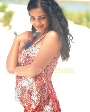 Malayalam Actress Nithya Menon Pictures