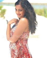 Malayalam Actress Nithya Menon Pictures