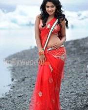 Nayak Heroine Amala Paul Hot Saree Photos