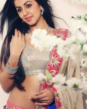 Nikki Galrani Sexy Photoshoot Pictures