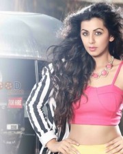 Nikki Galrani Sexy Photoshoot Pictures