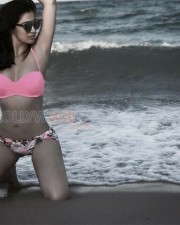 Oru Kuttanadan Blog Heroine Raai Laxmi Bikini Photos