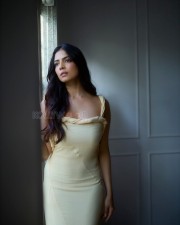Passionate Malavika Mohanan in a Yellow Bodycon Dress Photos 01