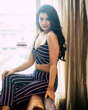 Payal Rajput Sexy Pictures