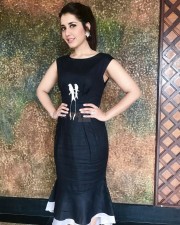 Pretty Actress Raashi Khanna Photo Shoot Stills