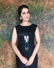 Pretty Actress Raashi Khanna Photo Shoot Stills