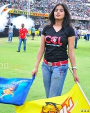 Priyamani At Celebrity Cricket League Finals