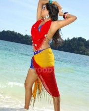 Priyamani Hot And Sexy Stills