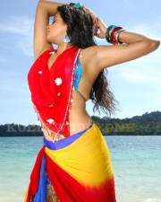 Priyamani Hot And Sexy Stills