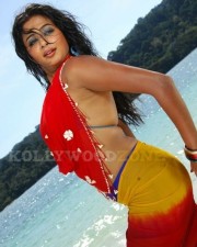 Priyamani Hot And Sexy Stills