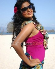 Priyamani Hot And Sexy Stills