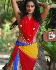 Priyamani Hot And Sexy Stills