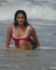 Priyamani Hot Cleavage Pictures