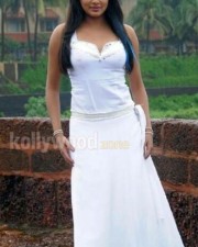 Priyamani Hot New Pictures