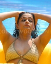 Priyamani Hot Sexy Pictures