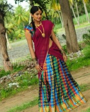 Priyamani In Saree Photos